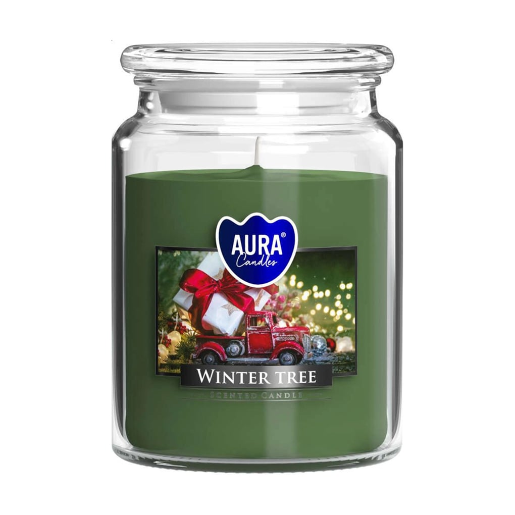 Ароматична свічка в банці Bispol Scented Candle Aura Winter Tree, 500 г (snd99-348)